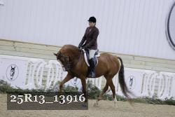25R13_13916 thumbnail