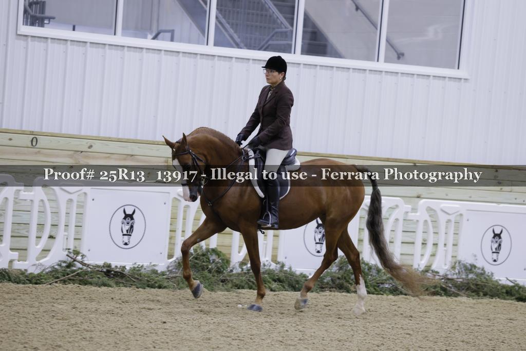 Proof Number 25R13_13917