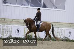 25R13_13917 thumbnail