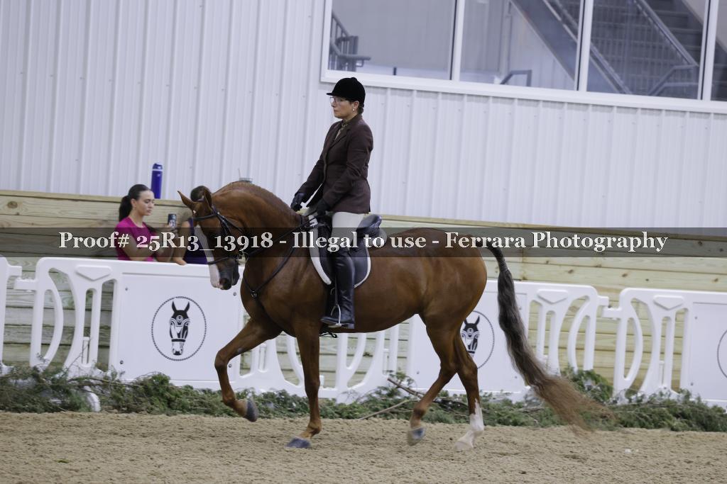 Proof Number 25R13_13918