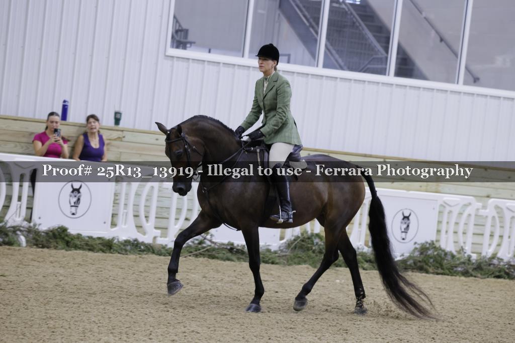 Proof Number 25R13_13919