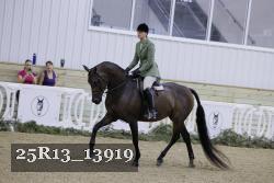 25R13_13919 thumbnail