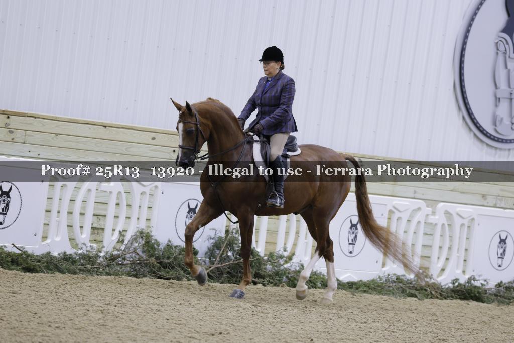 Proof Number 25R13_13920