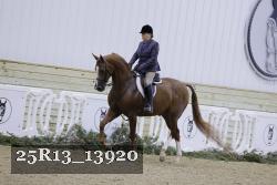 25R13_13920 thumbnail