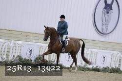 25R13_13922 thumbnail