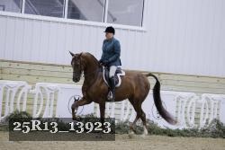 25R13_13923 thumbnail
