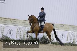 25R13_13926 thumbnail