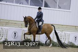 25R13_13927 thumbnail