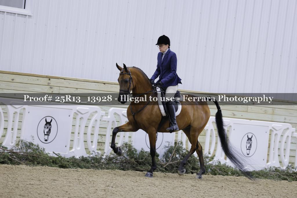 Proof Number 25R13_13928