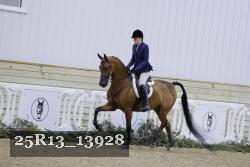 25R13_13928 thumbnail
