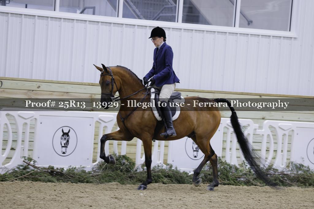Proof Number 25R13_13929