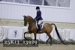 25R13_13929 thumbnail