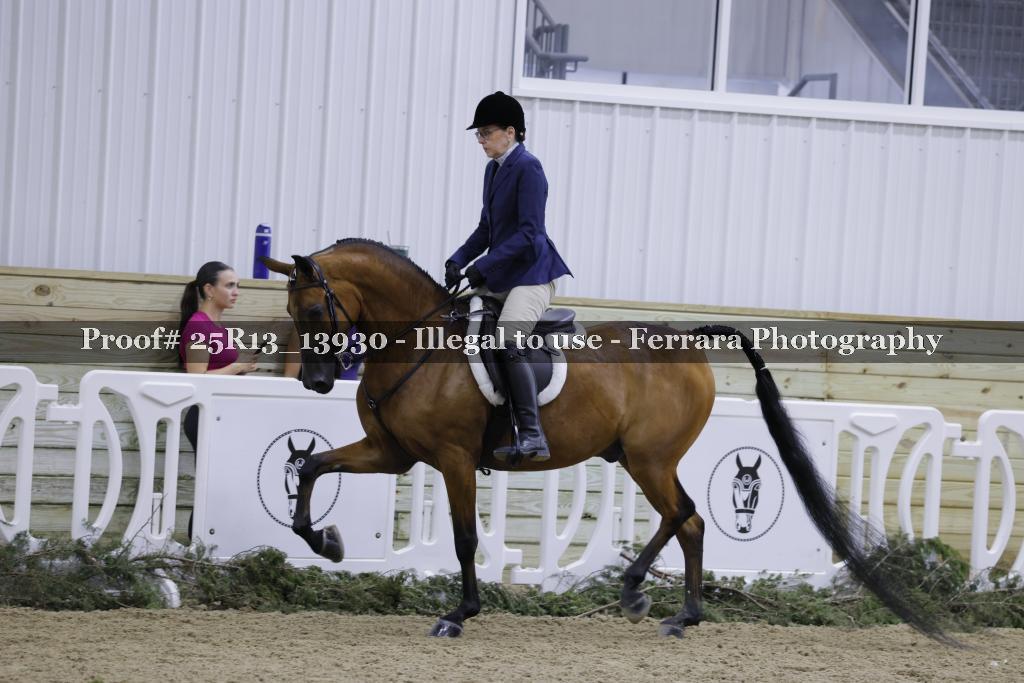 Proof Number 25R13_13930