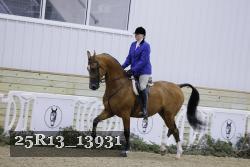 25R13_13931 thumbnail