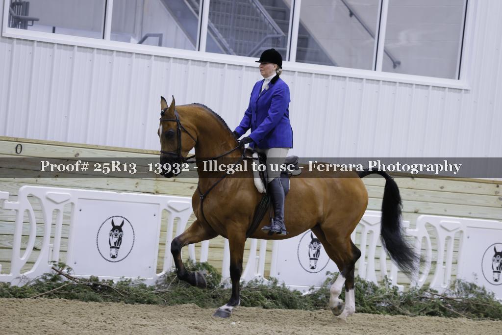 Proof Number 25R13_13932