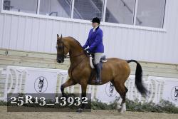 25R13_13932 thumbnail