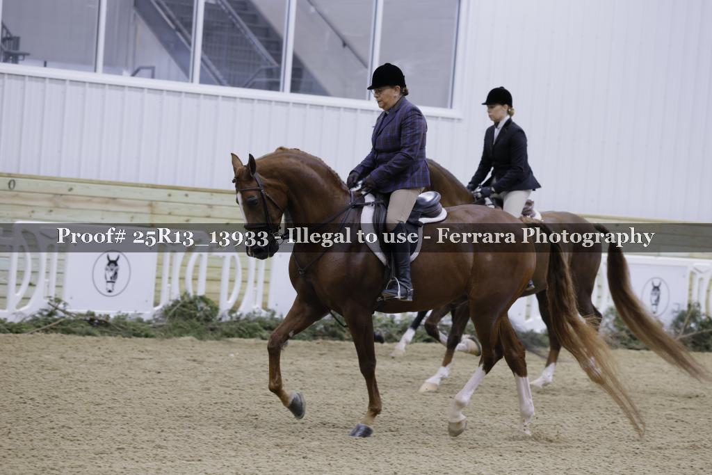 Proof Number 25R13_13933