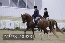 25R13_13933 thumbnail