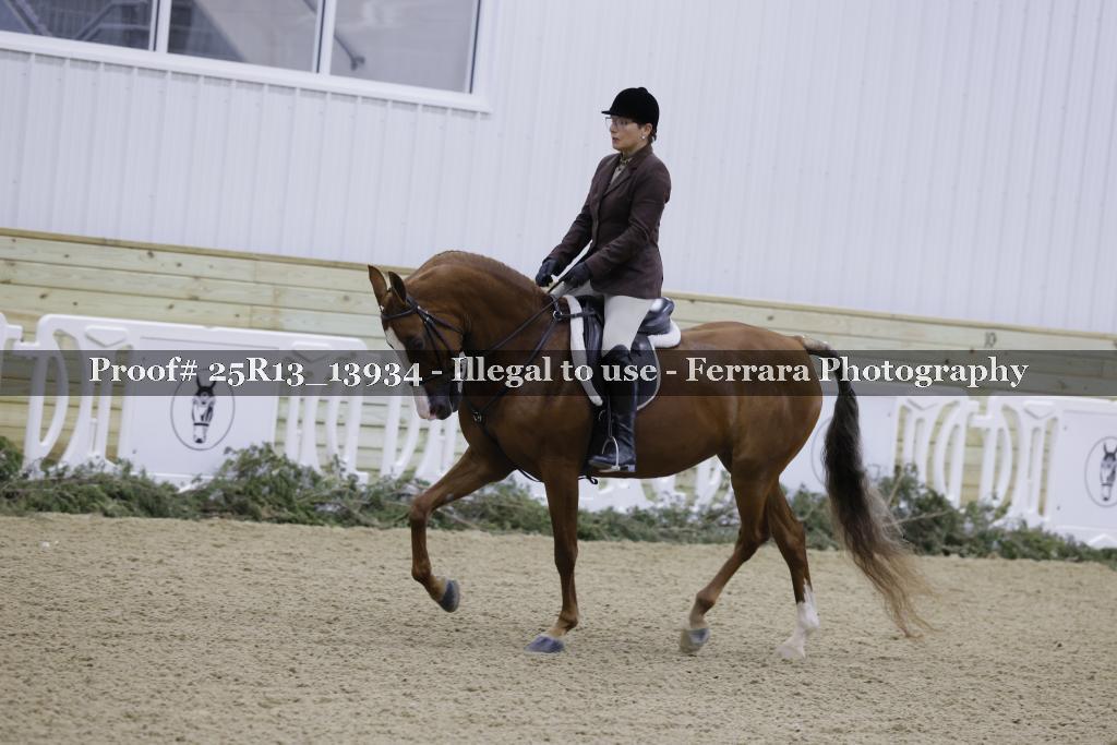 Proof Number 25R13_13934