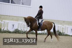 25R13_13934 thumbnail
