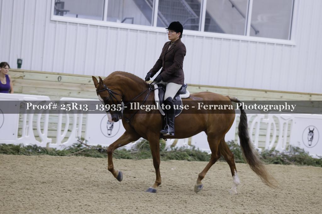 Proof Number 25R13_13935