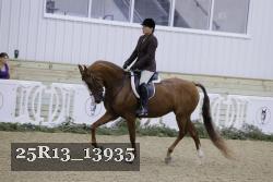 25R13_13935 thumbnail