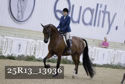 25R13_13936 thumbnail