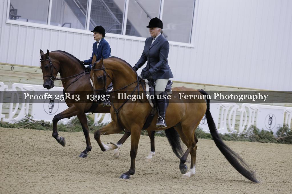 Proof Number 25R13_13937