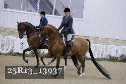 25R13_13937 thumbnail