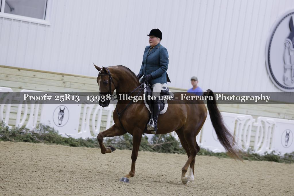 Proof Number 25R13_13938