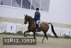 25R13_13939 thumbnail
