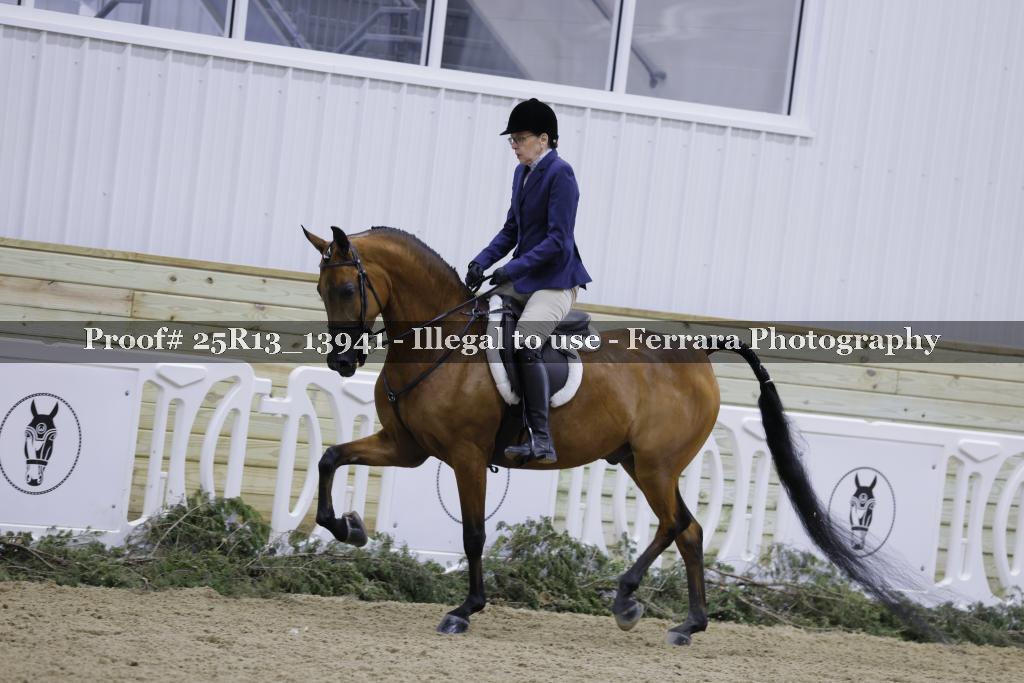 Proof Number 25R13_13941
