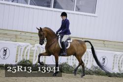 25R13_13941 thumbnail