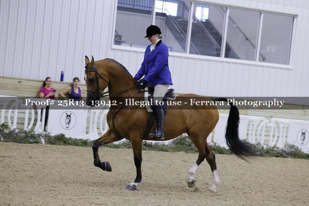 Proof Number 25R13_13942