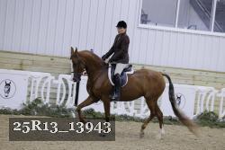 25R13_13943 thumbnail