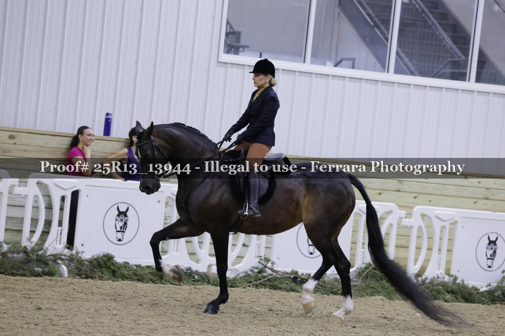 Proof Number 25R13_13944