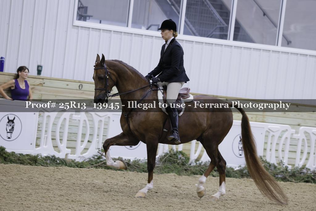 Proof Number 25R13_13945