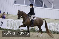 25R13_13945 thumbnail