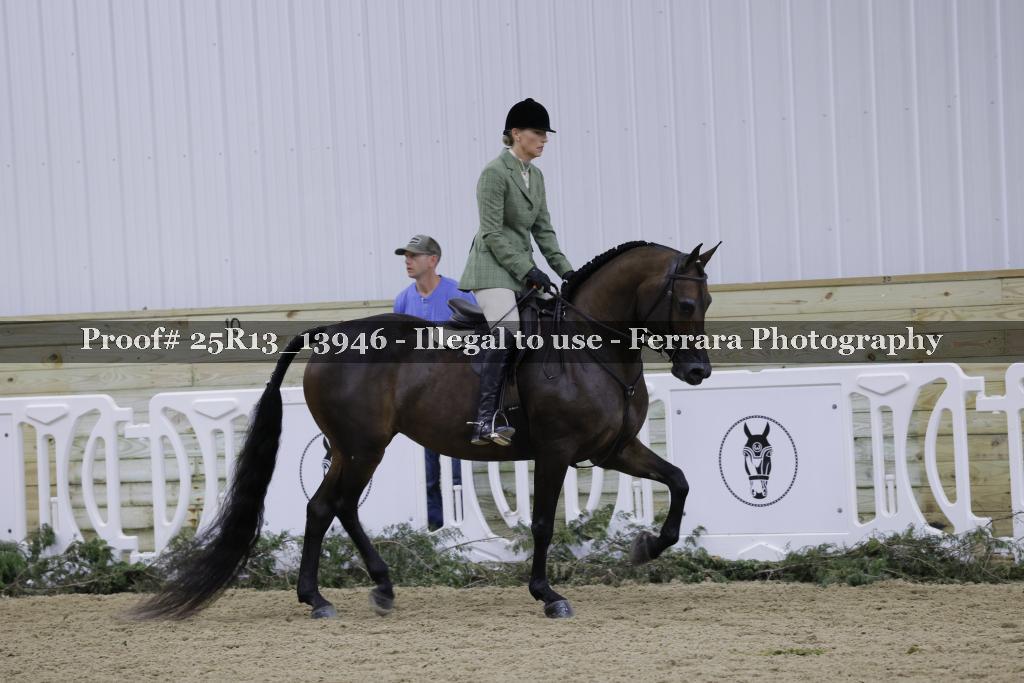 Proof Number 25R13_13946