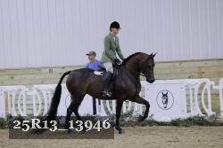 25R13_13946 thumbnail