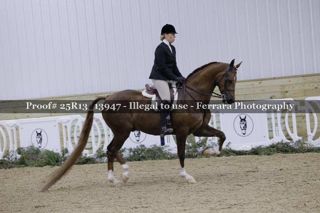 Proof Number 25R13_13947