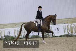 25R13_13947 thumbnail