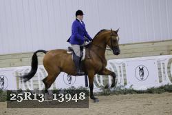25R13_13948 thumbnail