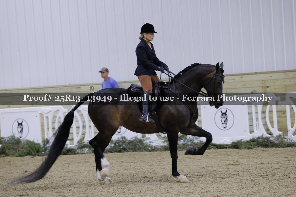 Proof Number 25R13_13949