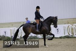 25R13_13949 thumbnail