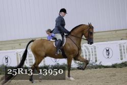 25R13_13950 thumbnail