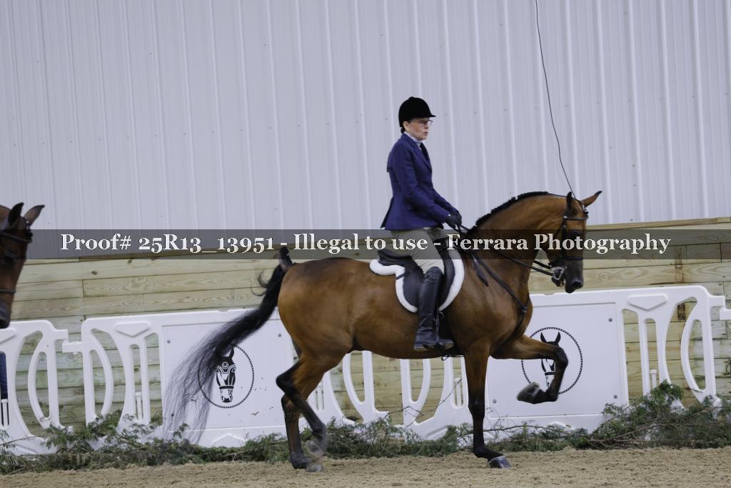 Proof Number 25R13_13951