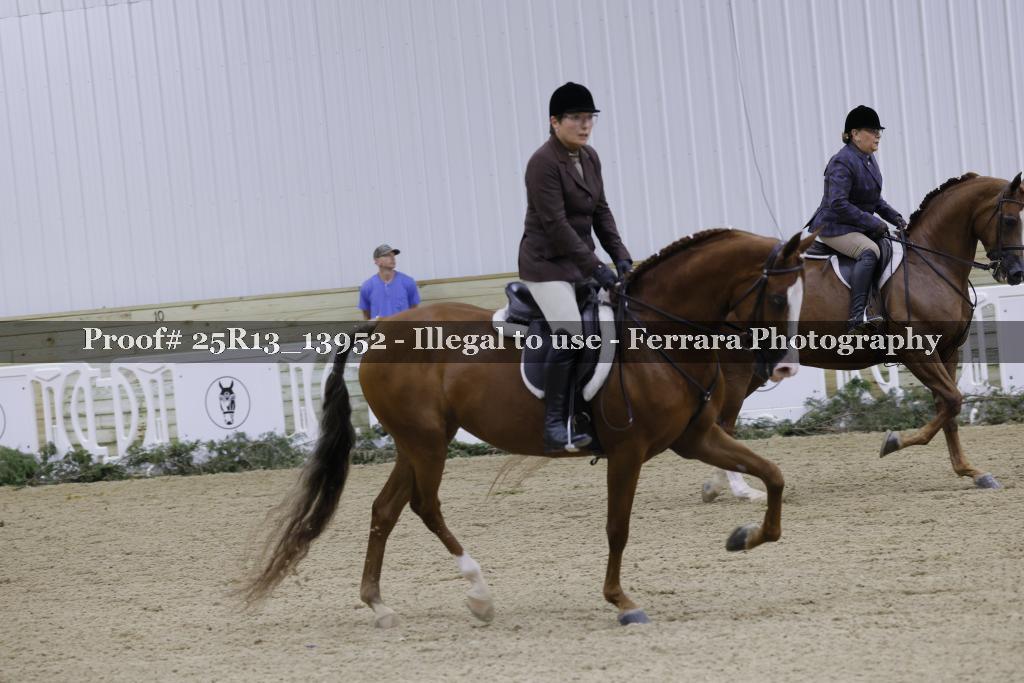 Proof Number 25R13_13952
