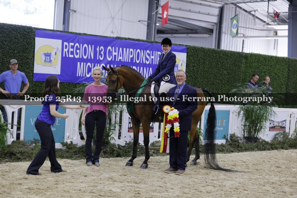 Proof Number 25R13_13953