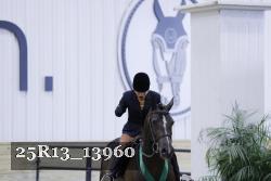 25R13_13960 thumbnail